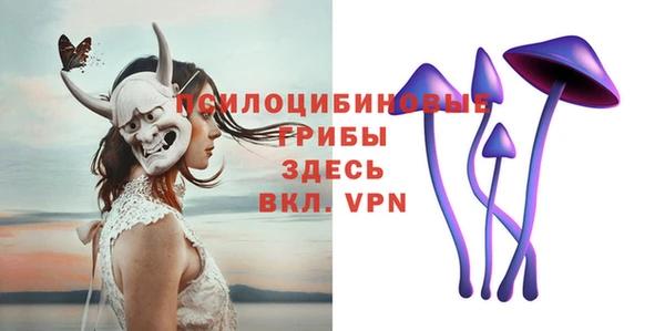 гидра Алексеевка