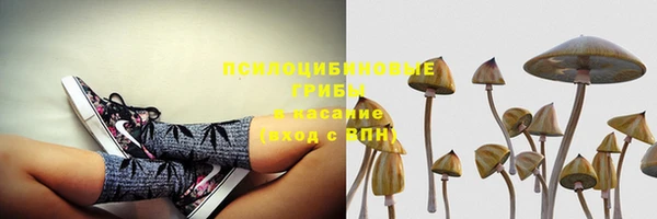 гидра Алексеевка
