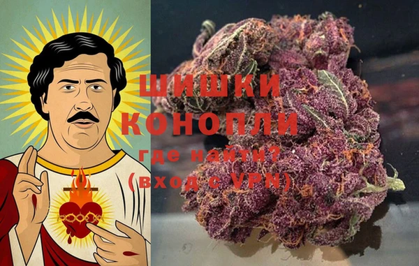 гидра Алексеевка
