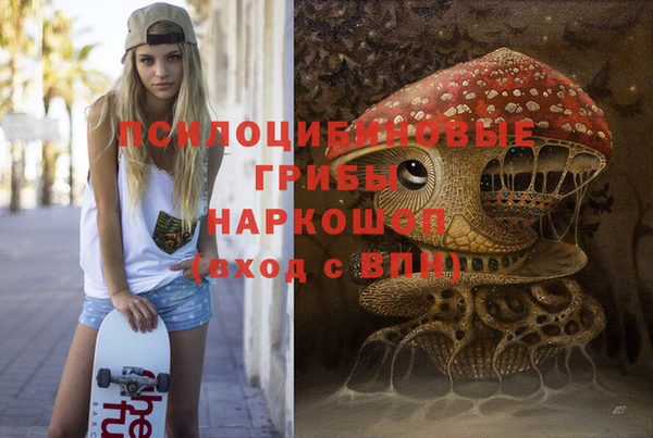 гидра Алексеевка
