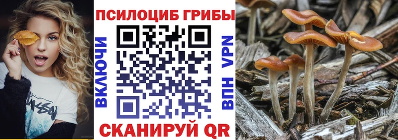 Псилоцибиновые грибы прущие грибы  ссылка на мегу   Лобня 